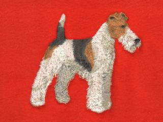 Fox Terrier, Wire Haired Body