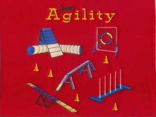 Agility Course
