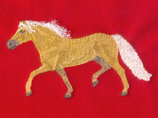 Light Colored Haflinger Horse Trotting