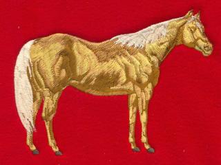 Quarter Horse, Palomino