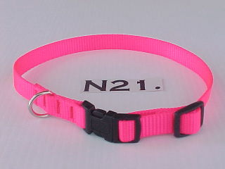 5/8" wide adjustable nylon dog collar