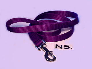 3/4" x 4' nylon dog leash