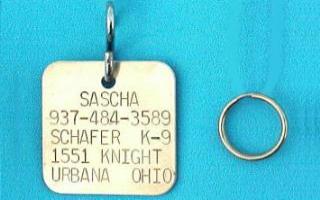 large square brass pet id tags