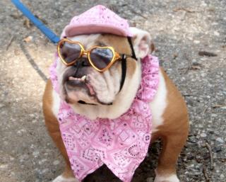 Lola In Fashion Hat & Sunglasses